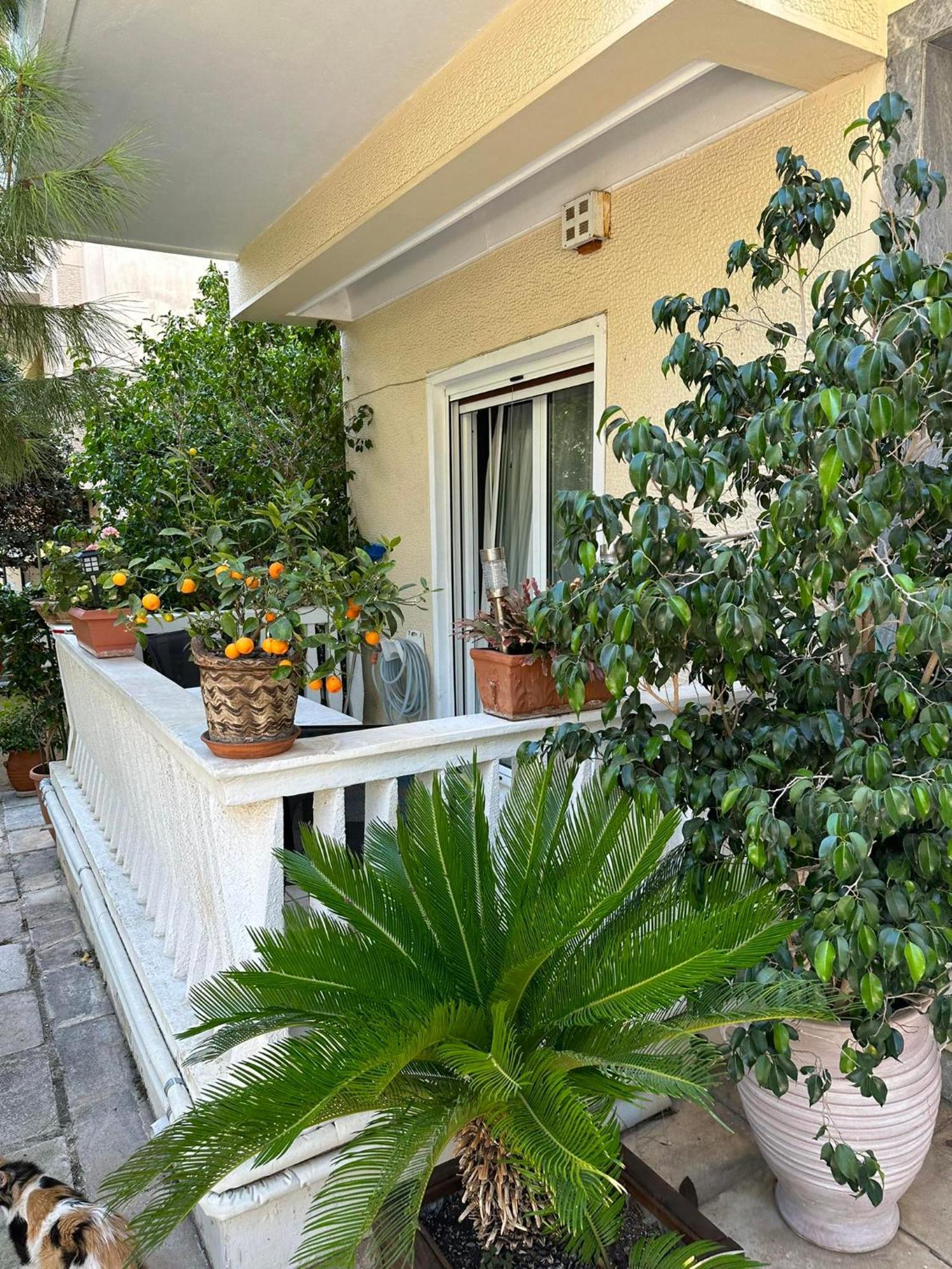 Angel , Luxury 2Bd Apartment Next To The Beach Atene Esterno foto